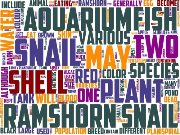 Ramshorn Mountain Wordart Tshirt: A Creative Tool for Expression and Inspiration