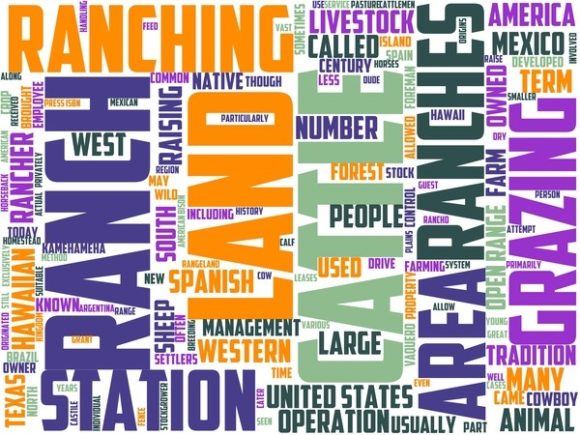 Ranchi Wordart Wallpaper: Creative Inspiration